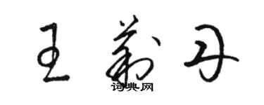 駱恆光王莉丹草書個性簽名怎么寫