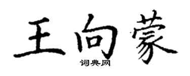 丁謙王向蒙楷書個性簽名怎么寫