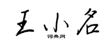 王正良王小名行書個性簽名怎么寫