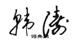 駱恆光韓濤草書個性簽名怎么寫