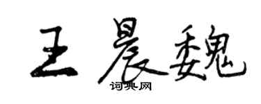 曾慶福王晨魏行書個性簽名怎么寫