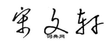 駱恆光宋文軒草書個性簽名怎么寫