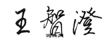 駱恆光王智澄行書個性簽名怎么寫