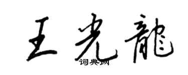 王正良王光龍行書個性簽名怎么寫