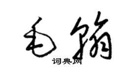 梁錦英毛翰草書個性簽名怎么寫