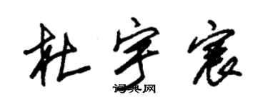 朱錫榮杜宇宸草書個性簽名怎么寫