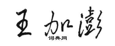 駱恆光王加澎行書個性簽名怎么寫