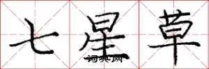 龐中華七星草楷書怎么寫