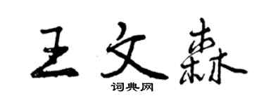 曾慶福王文森行書個性簽名怎么寫