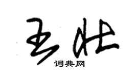 朱錫榮王壯草書個性簽名怎么寫