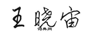 駱恆光王曉宙行書個性簽名怎么寫