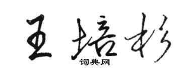 駱恆光王培杉行書個性簽名怎么寫