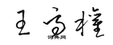 駱恆光王高權草書個性簽名怎么寫