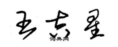 朱錫榮王吉星草書個性簽名怎么寫