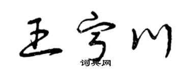 曾慶福王寧川草書個性簽名怎么寫