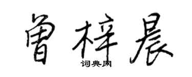 王正良曾梓晨行書個性簽名怎么寫