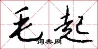 毛起怎么寫好看