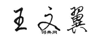 駱恆光王文翼行書個性簽名怎么寫