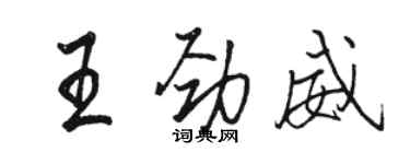 駱恆光王勁威行書個性簽名怎么寫