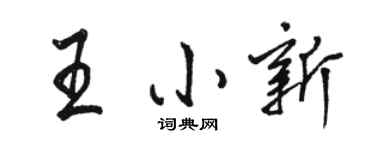 駱恆光王小新行書個性簽名怎么寫