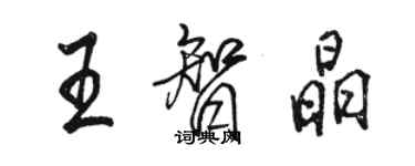 駱恆光王智晶行書個性簽名怎么寫