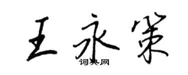 王正良王永策行書個性簽名怎么寫