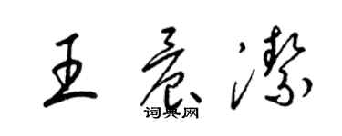 梁錦英王晨潔草書個性簽名怎么寫