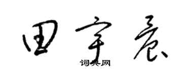 梁錦英田宇晨草書個性簽名怎么寫