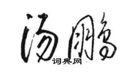 駱恆光湯鵬草書個性簽名怎么寫