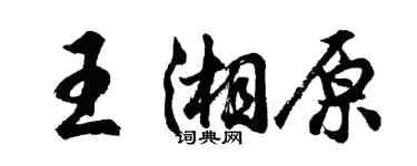 胡問遂王湘原行書個性簽名怎么寫