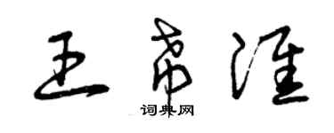 曾慶福王希淮草書個性簽名怎么寫