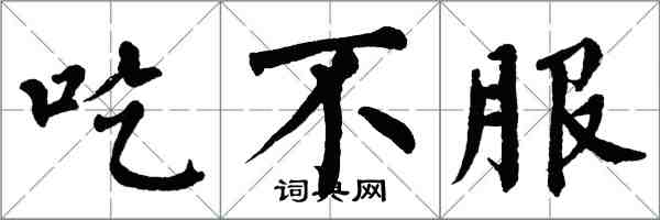 翁闓運吃不服楷書怎么寫