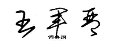 朱錫榮王軍琴草書個性簽名怎么寫