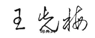 駱恆光王先梅草書個性簽名怎么寫