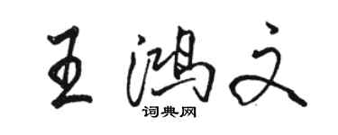 駱恆光王鴻文行書個性簽名怎么寫