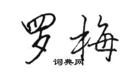 駱恆光羅梅行書個性簽名怎么寫