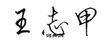 駱恆光王志甲行書個性簽名怎么寫