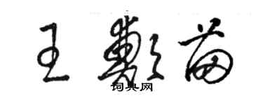 駱恆光王鄭苗草書個性簽名怎么寫