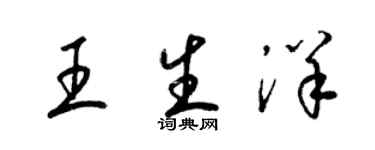 梁錦英王生洋草書個性簽名怎么寫