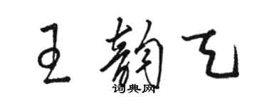 駱恆光王韻天草書個性簽名怎么寫