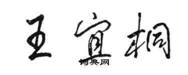 駱恆光王宜桐行書個性簽名怎么寫