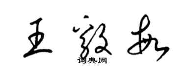 梁錦英王毅敏草書個性簽名怎么寫