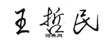 駱恆光王哲民行書個性簽名怎么寫