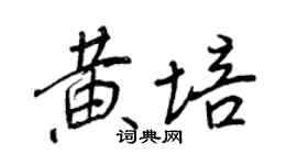 王正良黃培行書個性簽名怎么寫