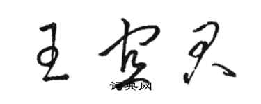 駱恆光王宜君草書個性簽名怎么寫