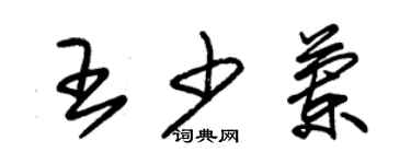 朱錫榮王少蘭草書個性簽名怎么寫