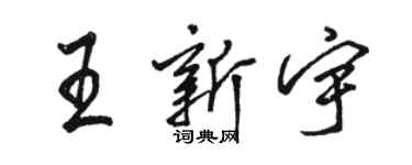 駱恆光王新宇行書個性簽名怎么寫