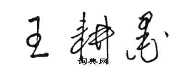 駱恆光王耕墨草書個性簽名怎么寫