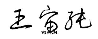 曾慶福王宙純草書個性簽名怎么寫