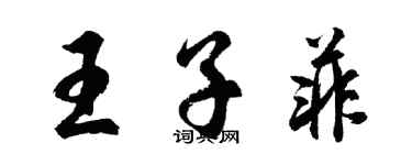 胡問遂王子菲行書個性簽名怎么寫